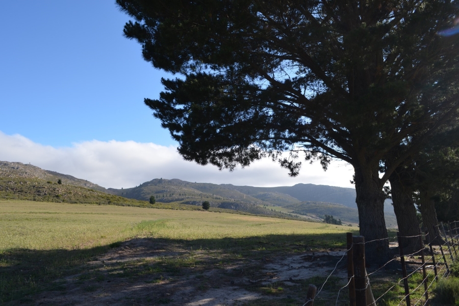0 Bedroom Property for Sale in Uniondale Western Cape